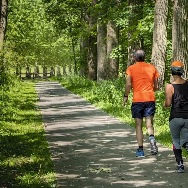 Yoga and wellness studio with natural lighting